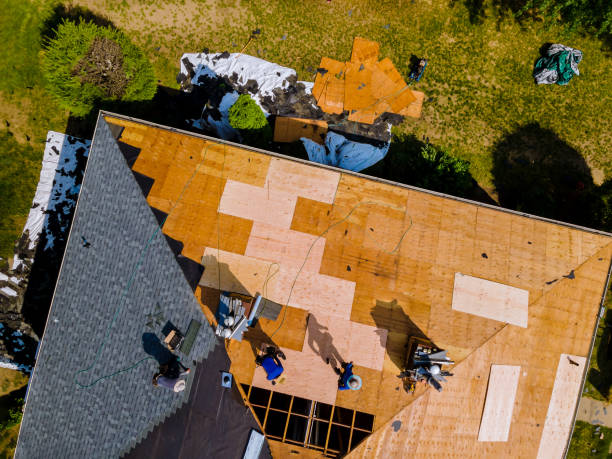 Quick and Trustworthy Emergency Roof Repair Services in Kissimmee, FL